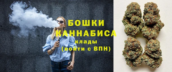 mdpv Киселёвск