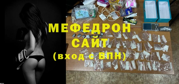 дживик Ельня