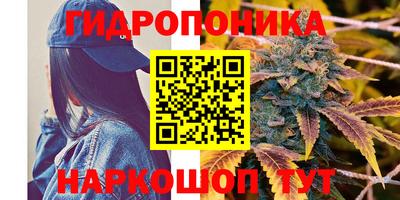 спайс Донской