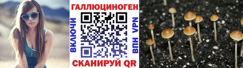 закладки  Спасск-Дальний  МЕГА как зайти  Галлюциногенные грибы мухоморы 