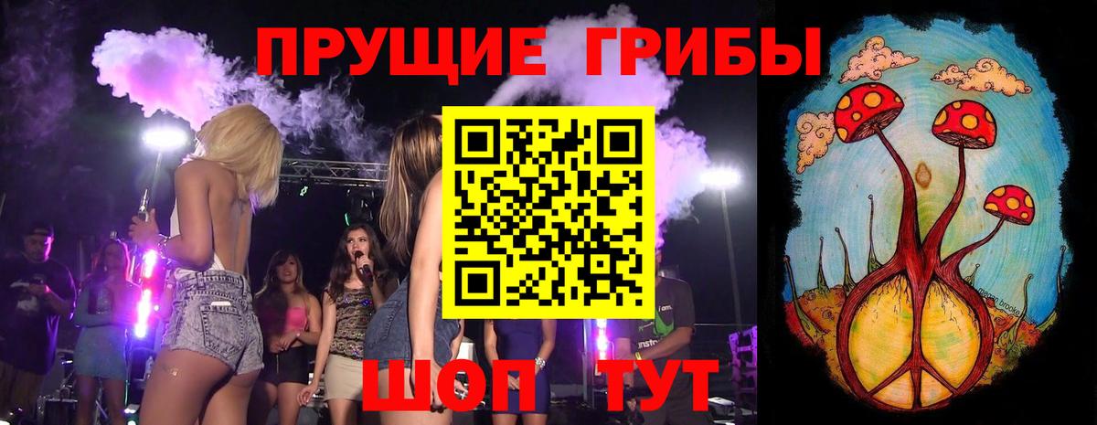 Псилоцибиновые грибы GOLDEN TEACHER Спасск-Дальний