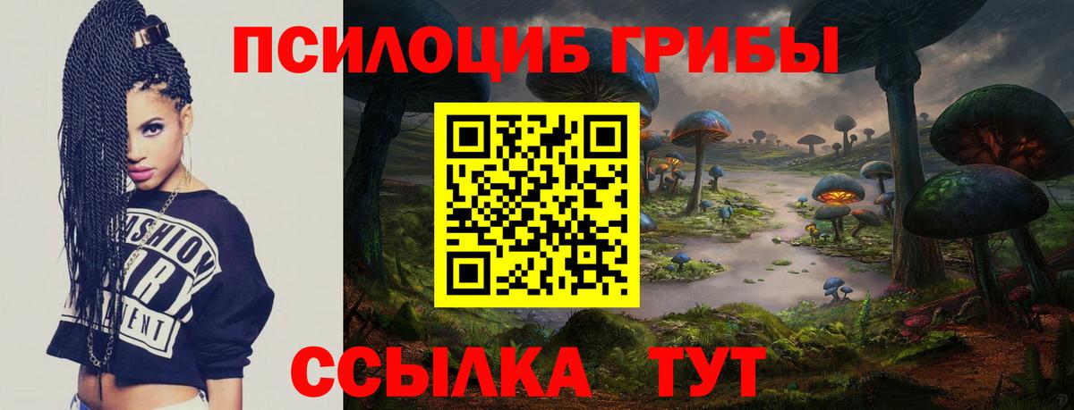 Псилоцибиновые грибы MAGIC MUSHROOMS  Спасск-Дальний  Псилоцибиновые грибы Psilocybine cubensis 